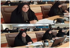 حضور مدیر کل بانوان در نشست تعاملی  هم افزایی وظرفیت سازی برای حل مسائل کشور