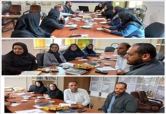 جلسه هماهنگی نمایشگاه توانمندی های زنان در دفتر امور بانوان و خانواده استانداری